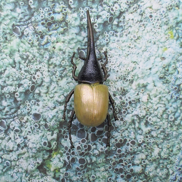 pearl yellow Hercules rhinoceros beetle brooch pin, halloween jewelry, plastic bug insect creepy crawly weird metallic finish odd strange