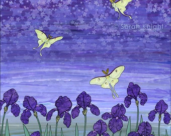 violet night - signed digital illustration art print 8X10 inch, luna moths stars purple irises flowers whimsical nature picture sage green