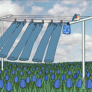 May include: Four pairs of blue jeans hang on a clothesline against a backdrop of a blue sky with white clouds. The clothesline is supported by a white metal frame. Two bluebirds are perched on the clothesline. The clothesline is over a field of blue tulips.