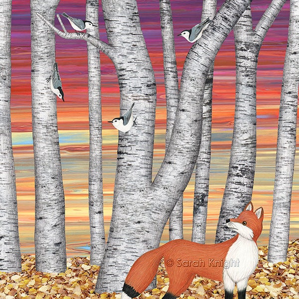 nuthatches and fox in the birch forest - art print 8X10 inches by Sarah Knight, birds trees gray orange colorful leaf litter nature scene