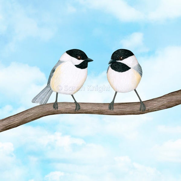 chickadee chitter chatter - signed digital illustration art print 8X10 inches - sky bue clouds white gray birds