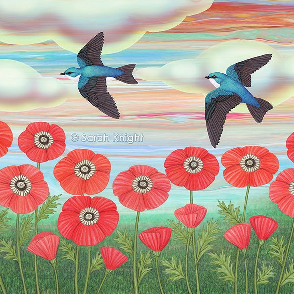 tree swallows and poppies - signed art print 8X10 inches by Sarah Knight - teal blue birds scarlet red flowers psychedelic colors clouds sky