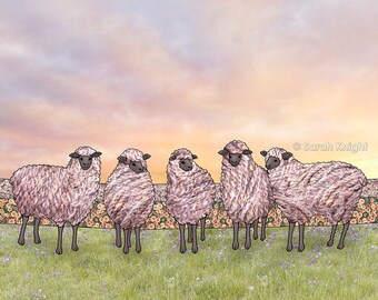 sunrise sheep - signed 8X10 inch art print by Sarah Knight - green grass flowers rural farm scene cloudy sky flock animals yarn sunset peach
