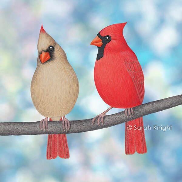 charming cardinals and bokeh - signed art print 8X10 inches by Sarah Knight, red beige birds neutral colors white sky blue periwinkle