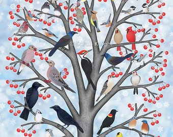 winter birds of North America - signed art print 8X10 inches - Sarah Knight, crows grackles chickadees cardinals mourning doves robins owls