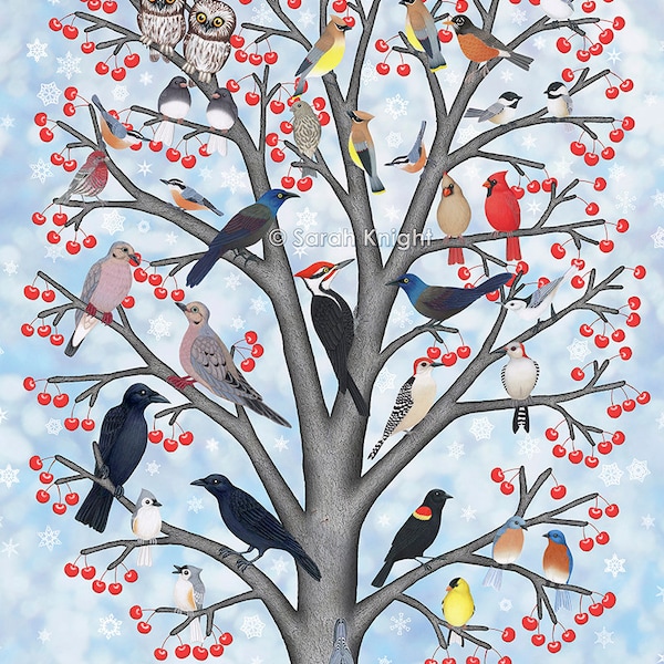 winter birds of North America - signed art print 8X10 inches - Sarah Knight, crows grackles chickadees cardinals mourning doves robins owls