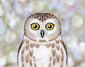 northern saw whet owl (woodland animal portrait) - 8X10 inch art print by Sarah Knight, childrens nursery wall decor brown white bird bokeh