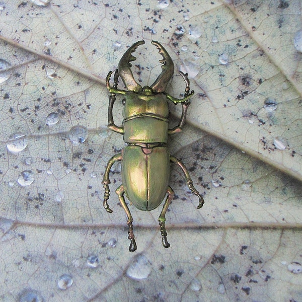chartreuse green stag beetle brooch pin, halloween jewelry, plastic bug insect creepy crawly creature fun weird metallic finish odd strange