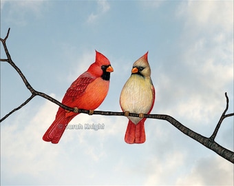 cardinal couple - signed digital illustration art print 8X10 inches by Sarah Knight, red beige birds blue sky beaks branch brown nature