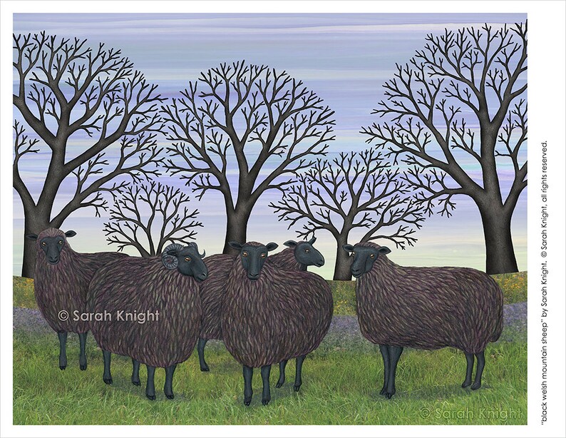 black Welsh mountain sheep signed 8X10 inch art print by Sarah Knight, rural farm scene green grass trees periwinkle sky farm animals ram image 2