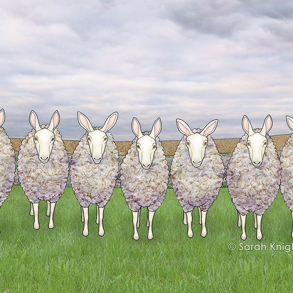 border leicesters in a line - signed 8X10 inch art print by Sarah Knight - green grass farm scene cloudy sky flock of sheep animals