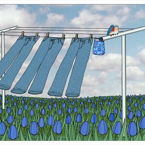 May include: Four pairs of blue jeans hang on a clothesline against a backdrop of a blue sky with white clouds. The jeans are hanging upside down with the legs dangling down. A small blue and white patterned bag hangs on the line next to the jeans. Two bluebirds are perched on the clothesline.