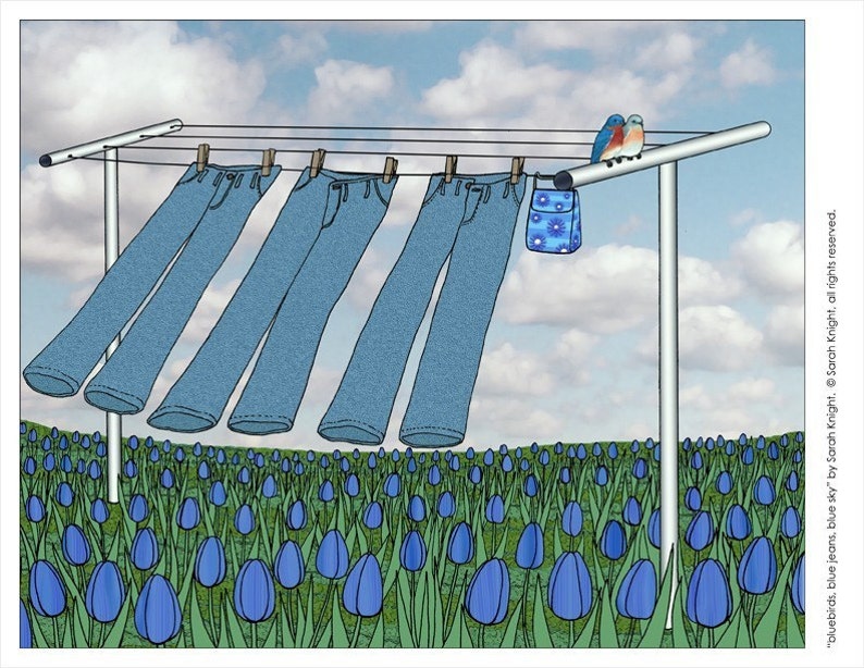 May include: Four pairs of blue jeans hang on a clothesline against a backdrop of a blue sky with white clouds. The jeans are hanging upside down with the legs dangling down. A small blue and white patterned bag hangs on the line next to the jeans. Two bluebirds are perched on the clothesline.