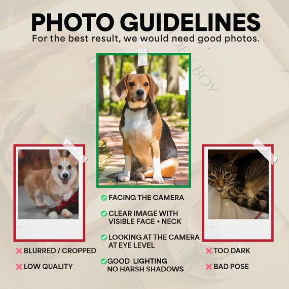 Custom Pet Portraits Using Pet Photo Personalized Blue Willow Cat