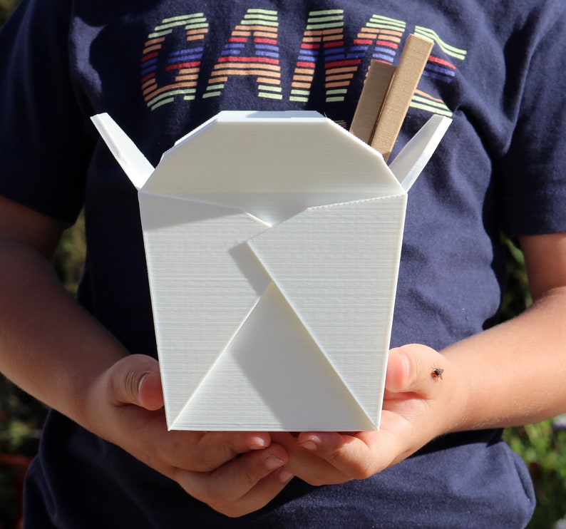 Chinese Takeout Box Planter With Chopsticks Choose Your Size Etsy