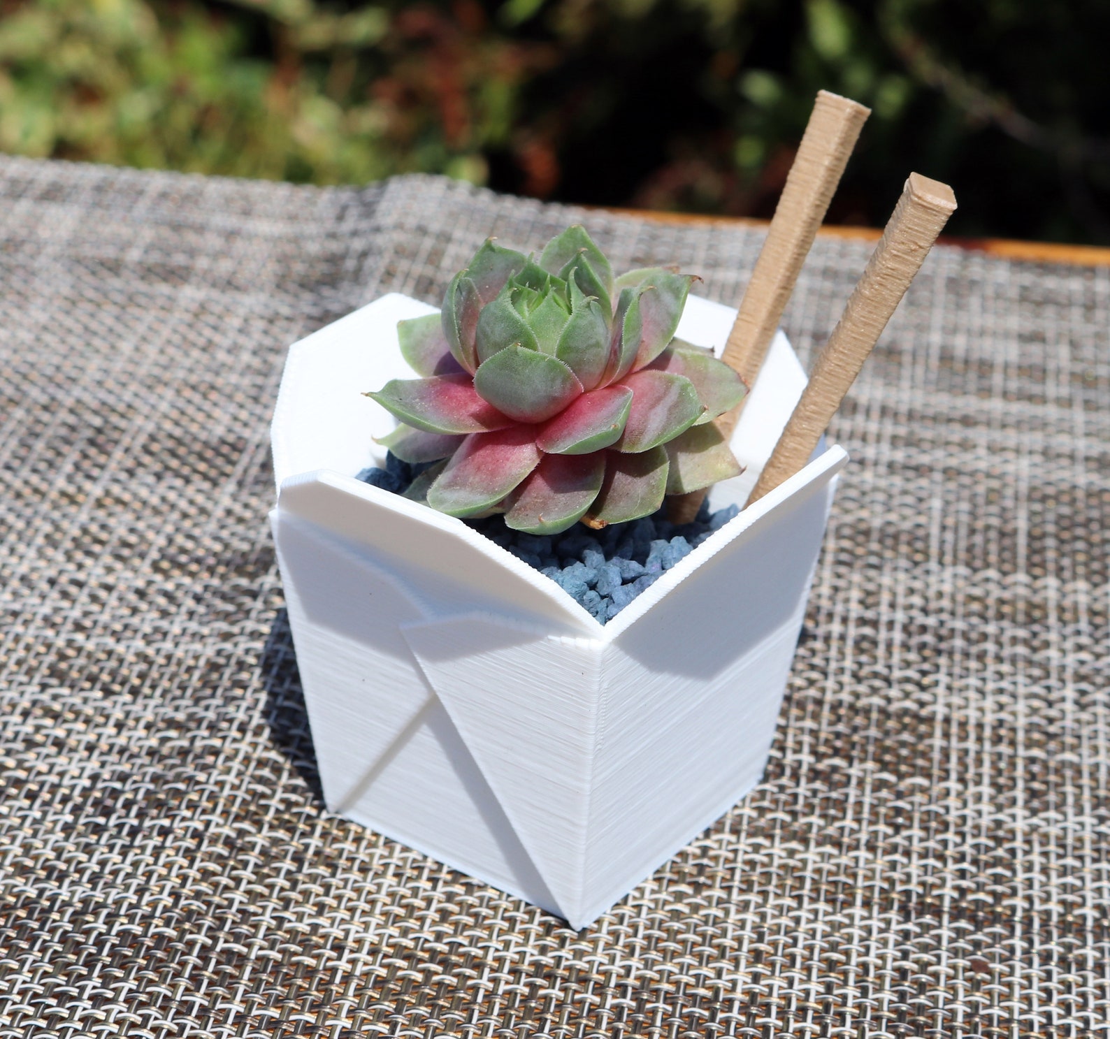 Chinese Takeout Box Planter With Chopsticks Choose Your Size Etsy