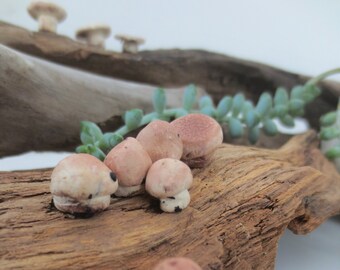Fairy Garden Miniature Mushroom Set of 10 Polymer Clay Mini Food Montessori Dollhouse Food Brown White Toadstool Mini Play Food  Peg Food