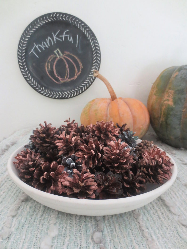 Pinecone Bowl Filler Fall Decorations Seasonal Colors Hand Painted Glitter Pine Cone Locally Harvested Gold Mix Pumpkin Spice Collection