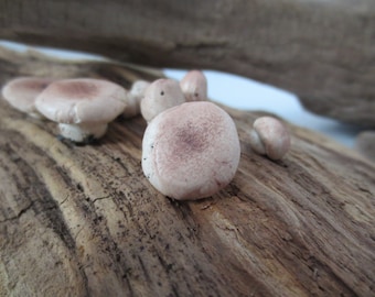 Fairy garden mushrooms, Miniature woodland toadstool set, fairy garden accessories, Realistic Clay Mushrooms, Doll Food
