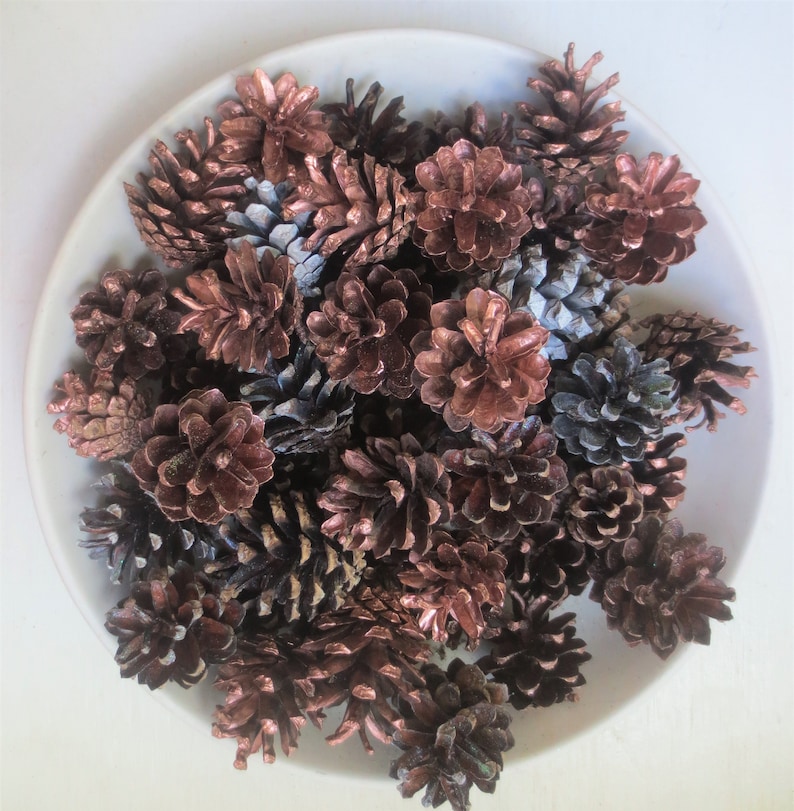Pinecone Bowl Filler Fall Decorations Seasonal Colors Hand Painted Glitter Pine Cone Locally Harvested Gold Mix Pumpkin Spice Collection