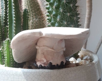 Mushroom Decor, Clay Mushroom Sculpture, Woodland Decor Polymer Clay, Fairy Garden Toadstool, Realistic Mushroom Figurine Art, Houseplant