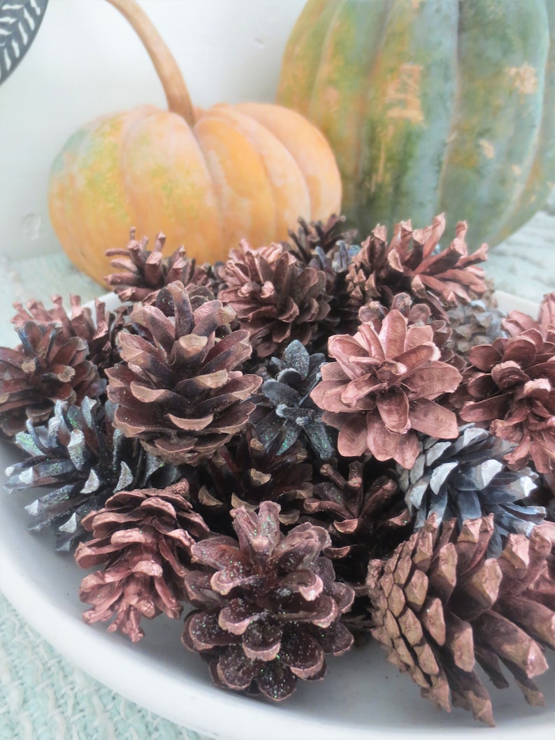 Pinecone Bowl Filler Fall Decorations Seasonal Colors Hand Painted Glitter Pine Cone Locally Harvested Gold Mix Pumpkin Spice Collection