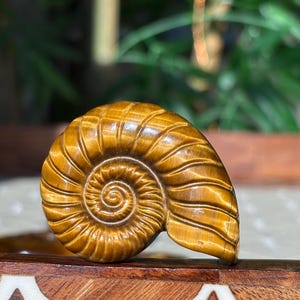 Puede incluir: Una escultura detallada y tallada de una concha de nautilus en tonos marrones y dorados. El patr&oacute;n en espiral de la concha est&aacute; intrincadamente tallado, mostrando la belleza natural del material. La escultura se exhibe sobre una superficie de madera.