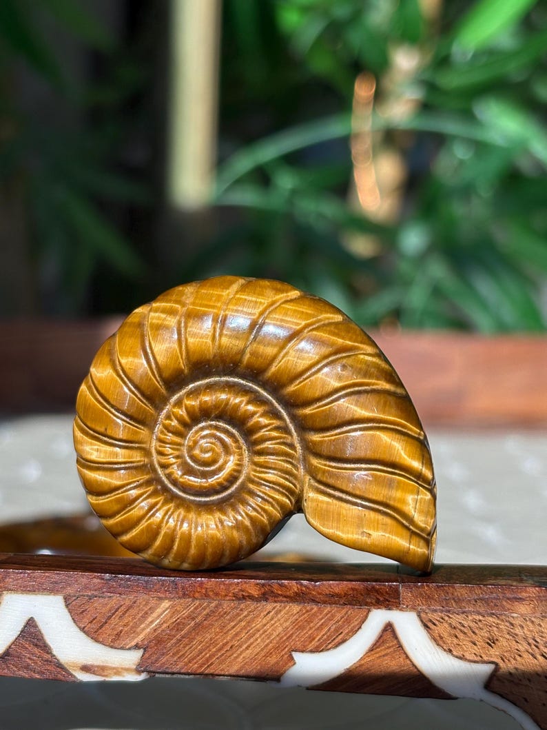 Puede incluir: Una escultura detallada y tallada de una concha de nautilus en tonos marrones y dorados. El patr&oacute;n en espiral de la concha est&aacute; intrincadamente tallado, mostrando la belleza natural del material. La escultura se exhibe sobre una superficie de madera.