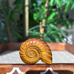 Puede incluir: Concha de nautilus tallada, de color marr&oacute;n dorado, con un patr&oacute;n espiral detallado. Las crestas son visibles y el acabado es pulido. Se encuentra sobre una bandeja de madera decorativa con una superficie blanca estampada.