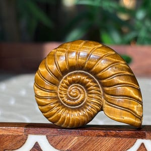 Puede incluir: Una escultura detallada de concha marina tallada, de color marr&oacute;n dorado. La concha en espiral se exhibe sobre una base de madera decorativa con incrustaciones blancas. El fondo est&aacute; borroso, con follaje verde visible.