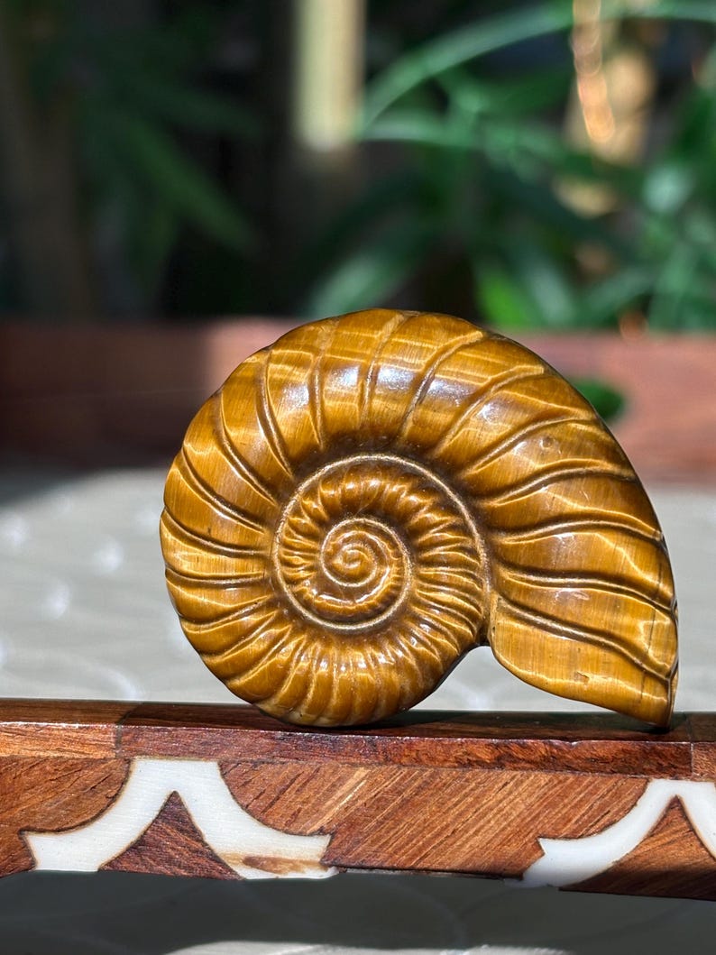 Puede incluir: Una escultura detallada de concha marina tallada, de color marr&oacute;n dorado. La concha en espiral se exhibe sobre una base de madera decorativa con incrustaciones blancas. El fondo est&aacute; borroso, con follaje verde visible.