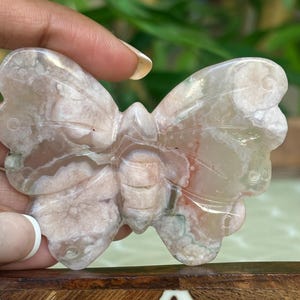 May include: A carved butterfly figurine made of a light pink and white stone. The wings have a detailed pattern with hints of green and red. The butterfly is held by a hand, showcasing the intricate details of the stone carving.