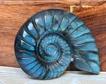 Super Flashy Labradorite Shells; Crystal Carvings
