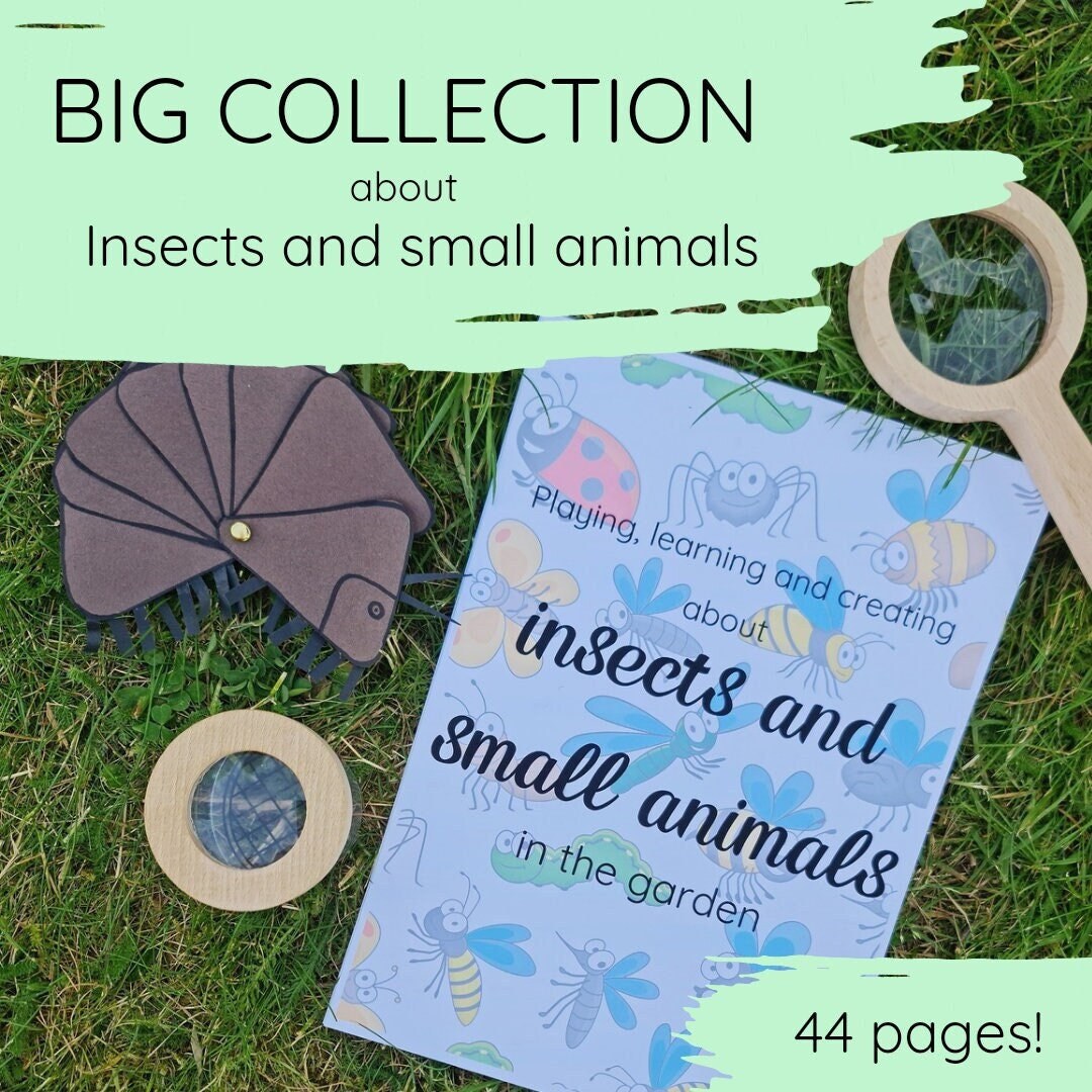 Insects and Small Animals in the Garden - Printable Learning Resources ...