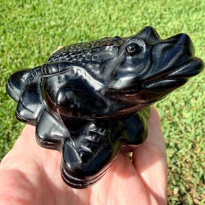 May include: A polished black obsidian carving shaped like a toad. The sculpture features a smooth, reflective surface with detailed textures on the back, prominent eyes, and a wide mouth, capturing the natural form of the amphibian in dark stone.