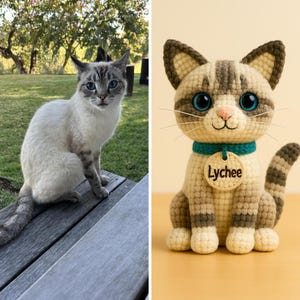Könnte beinhalten: Eine Siamkatze mit blauen Augen sitzt auf einer Holzbank. Daneben eine gehäkelte Katze mit blauen Augen, einem türkisfarbenen Halsband und einem Anhänger mit der Aufschrift „Lychee“. Die gehäkelte Katze ist beige, grau und weiß.