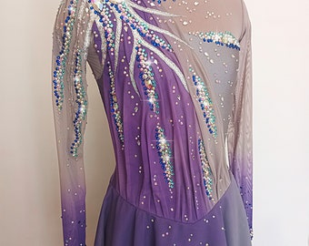 Rhinestone Figure Skating Dress: Long Sleeve Competition Costume