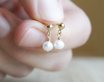 Tiny Pearl Studs Gold . Pearl Earrings Dangle . White Pearl Post Earrings 14k Gold Fill . Freshwater Pearl Earrings