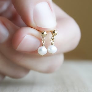 Tiny Freshwater Pearl Dangle Studs: 14k Gold Fill Earrings