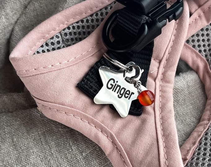 Featured listing image: Natural Crystal Dog Collar Charms NEW