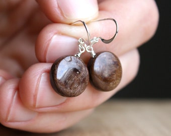 Brown Gemstone Earrings Dangle . Bronzite Earrings . Natural Gemstone Circle Earrings