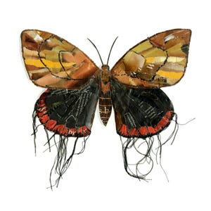 Butterfly Moth Print | Fine Art Giclée Print | Recycled Magazine Collage Wall Art