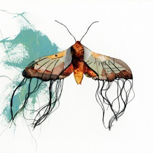 Natuurkunst aan de muur | Insectenprint | Mottenprint | Fine-art gicleeprint vlinder | Collage muurkunst gerecycled tijdschrift