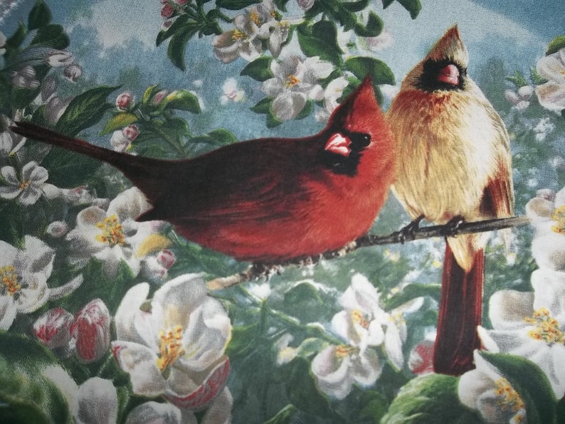 Cardinals, Crocheted Doily, Bird Centerpiece Doilies Bild 5