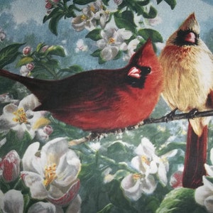 Cardinals, Crocheted Doily, Bird Centerpiece Doilies Bild 2