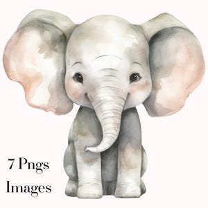 May include: Watercolor illustration of a baby elephant in soft gray and pink tones. The elephant is sitting, with a smiling expression and large ears. The image includes the text "7 Pngs Images" at the bottom.