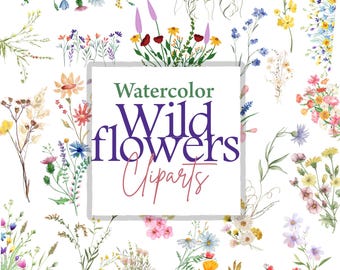 Watercolor Wildflower Clipart Bundle: Pastel Floral PNGs (Digital Download