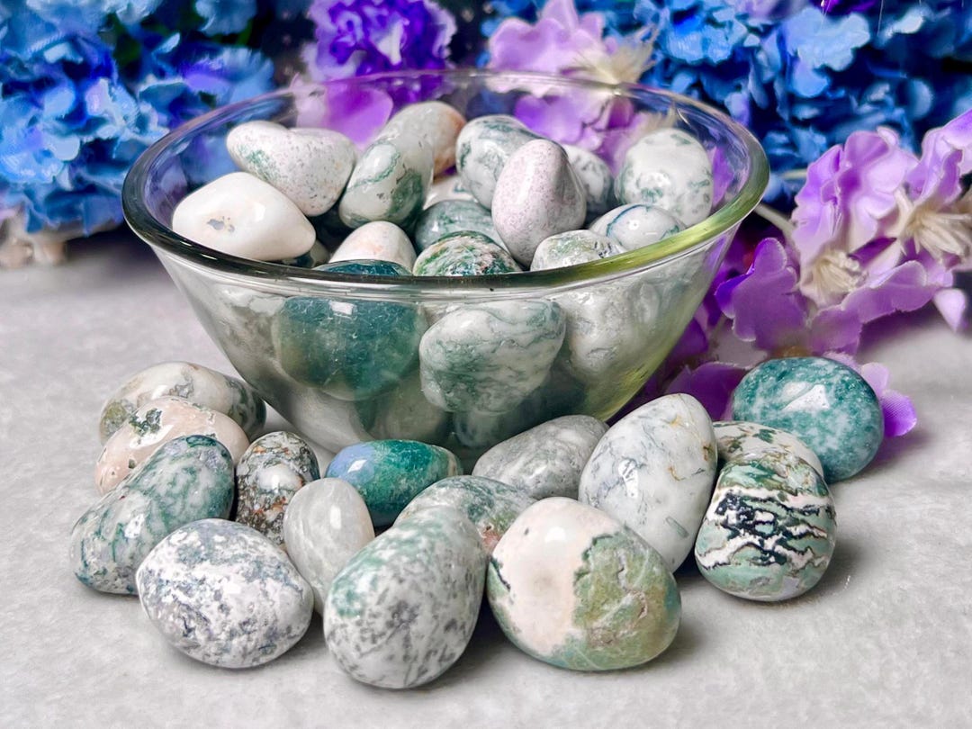 Timbled Tree Tree Agate Tumbled Stone: Spiritual Healing Crystals - Etsy