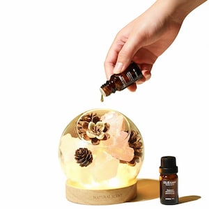 Rose Quartz,Fluorite & Amethyst Crystal Stone USB Night Light with Aroma Diffuser Lamp