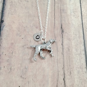 May include: Silver necklace with a charm of a dog and a letter D pendant.